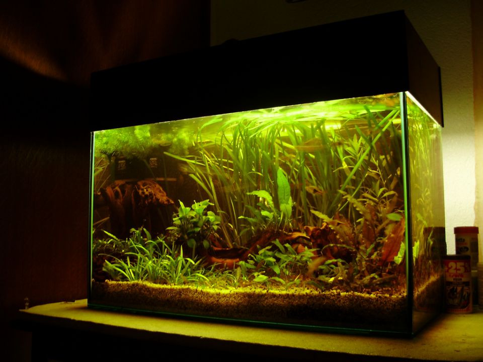 Akvarij - 63l - foto povečava