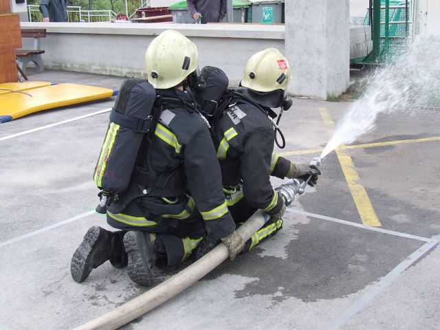Fire combat Ledine 2010 - foto