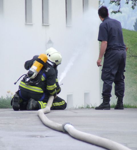 Fire combat Ledine 2010 - foto