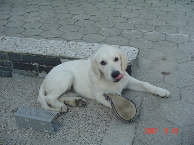 Habba Tohočinska - foto