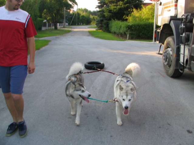 SNEŽKA,DELTA in ostala pasja druščina - foto