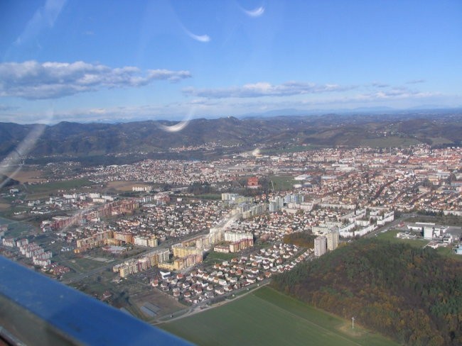 Zeglerija - foto povečava