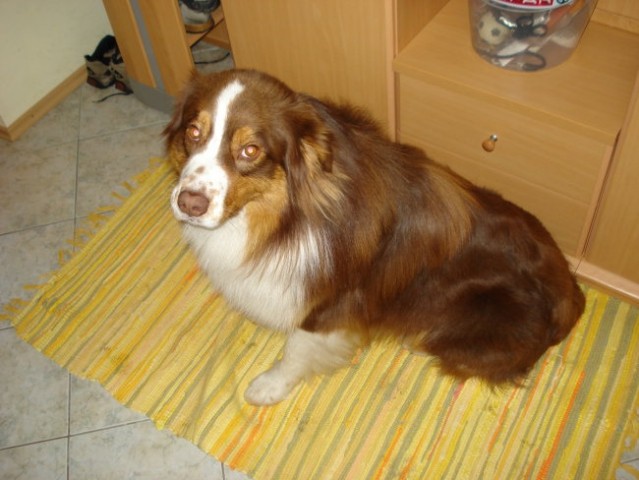 Zima 2007/08 - foto