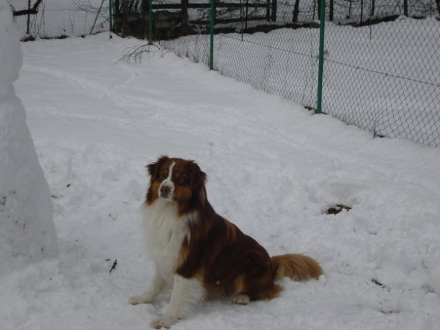 Zima 2007/08 - foto
