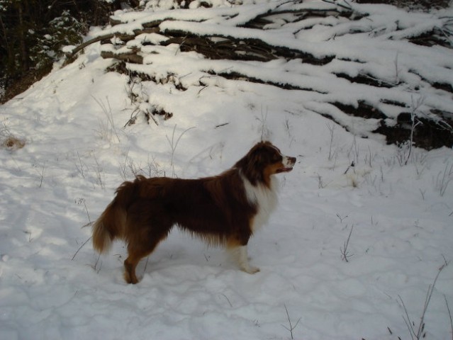 Tamar december 2007 - foto