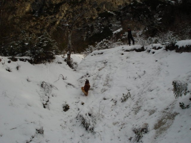 Tamar december 2007 - foto