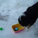 Pospravljanje igračk kar v snegu:)