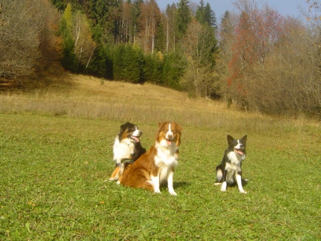 Jeseni je narava res lepa