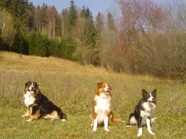 Jesenske fotografije - foto povečava