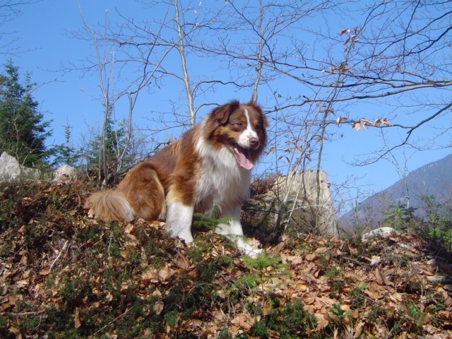 Dopoldansko-spomladansko potepanje:-) - foto