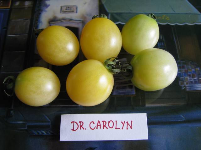 Dr. Carolyn