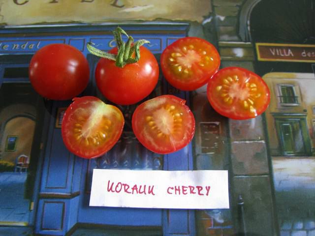 Koralik Cherry - cut1