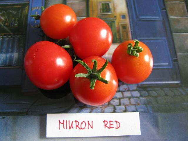 Mikron Red
