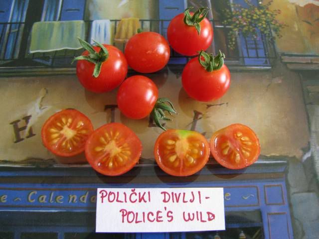 Police's Wild - Divlji Polički - cut