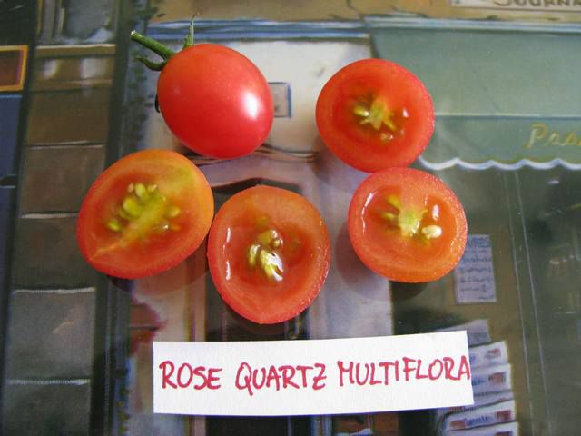 Rose Quartz Multiflora - cut