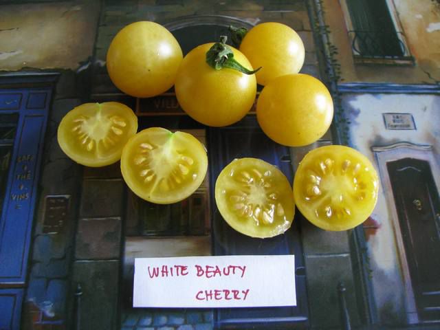 White Beauty 'Cherry' - cut