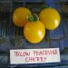 Yellow Peacevine Cherry