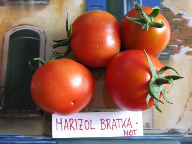 NOT Marizol Bratka