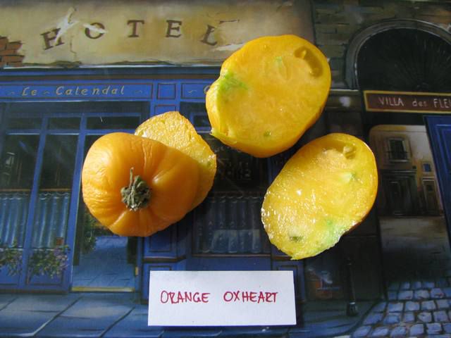 Orange Oxheart 1 - cut