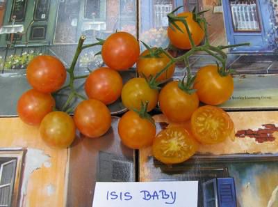 Isis Baby - cut fruits