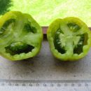 Green Bell Pepper - cut