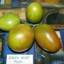 Green  Velvet Plum / Rabanita - ripe