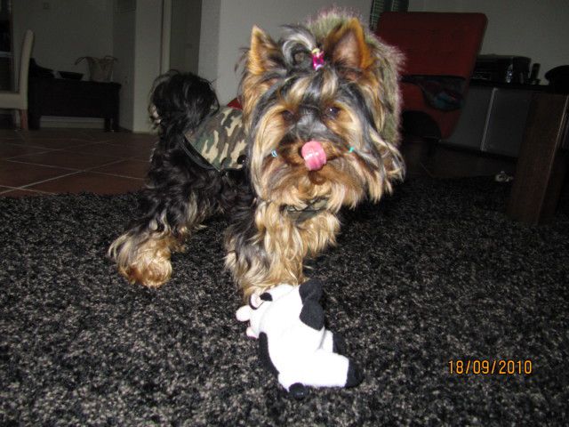 Jesen-berba 2010 - foto