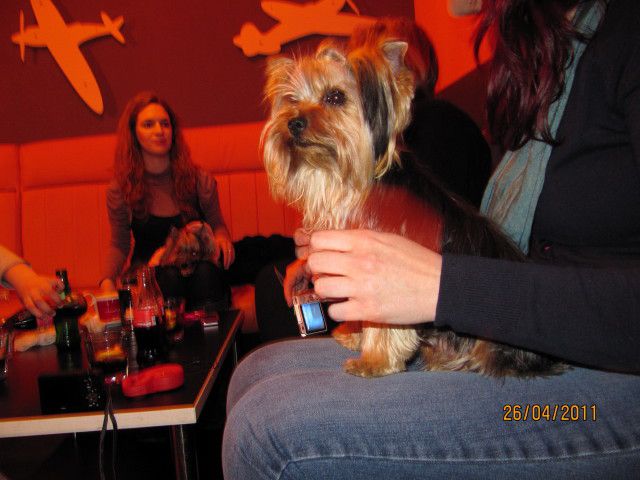 Uskrs4/2011 - foto