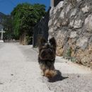 bol2/maj2011
