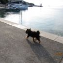 bol1/6/2011