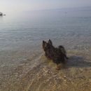bol2/6/2011