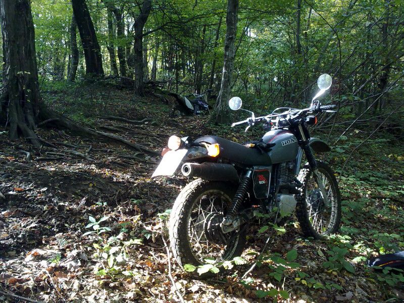 Honda XL 500s - foto povečava