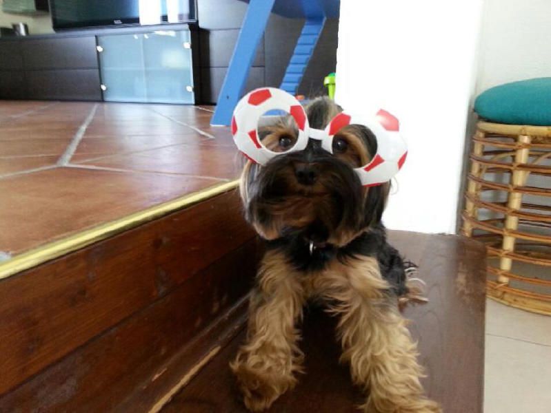 6/14 - foto povečava