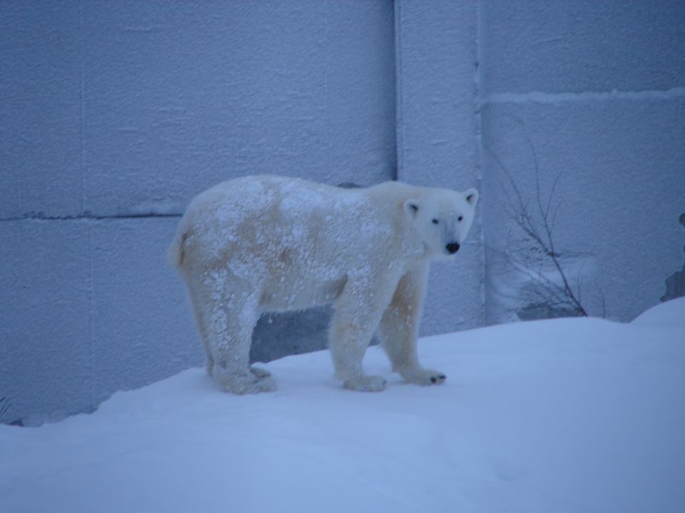 Ranua, Finska - foto povečava