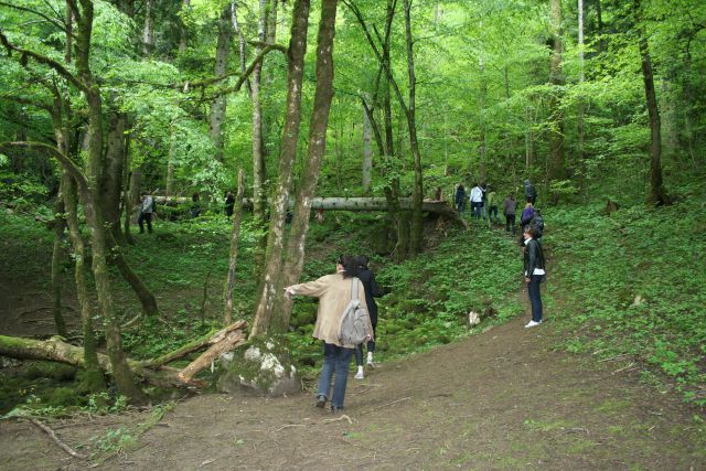 Slovenska gimnazija Celovec - foto