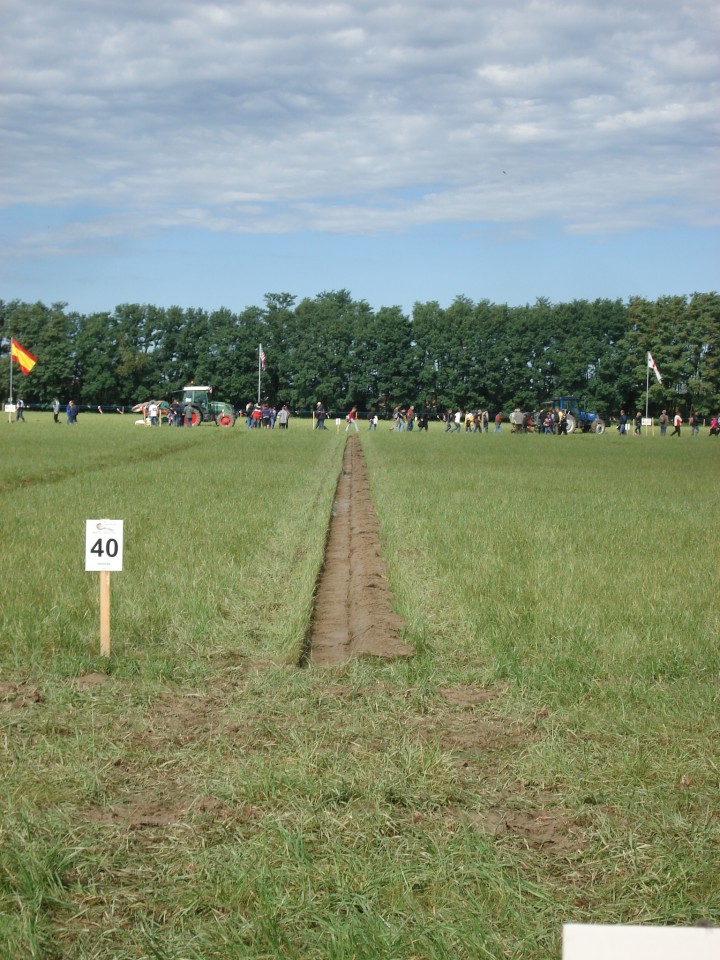 56. Svetovno prvenstvo v oranju Tešanovci - foto povečava