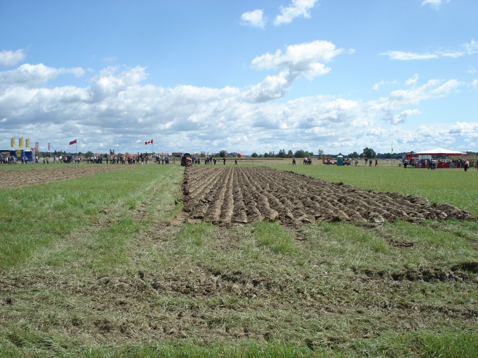 56. Svetovno prvenstvo v oranju Tešanovci - foto povečava