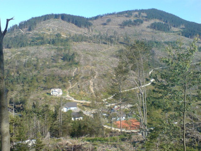 Pogled na razdejanje, ki ga je naredil veter (Černivec)