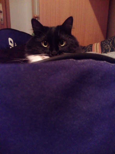 Slika