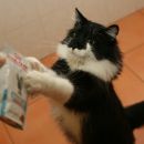 mh veterina 6