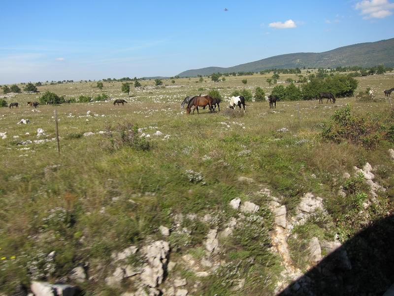 Kolesarske ture - foto povečava