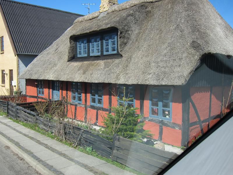 Danska 2011 - ribolov polenovk - foto povečava