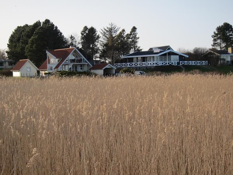 Danska 2011 - ribolov polenovk - foto povečava