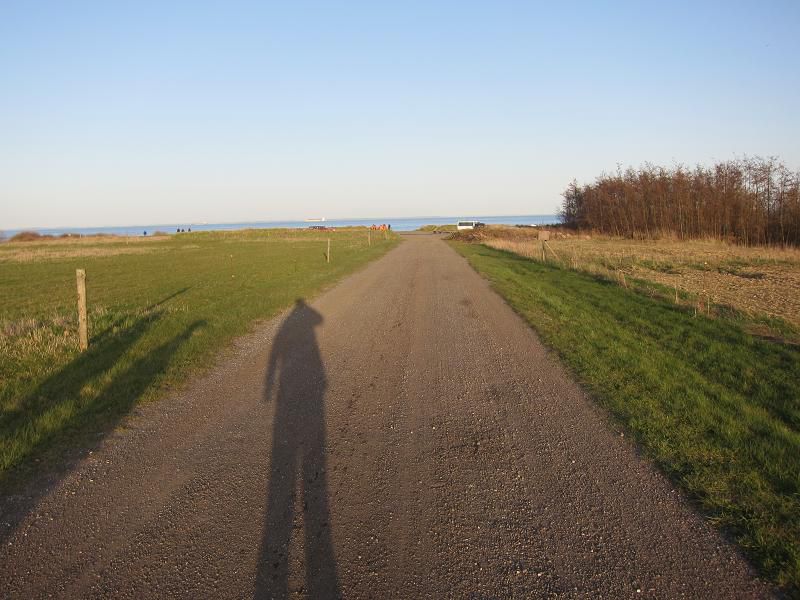 Danska 2011 - ribolov polenovk - foto povečava