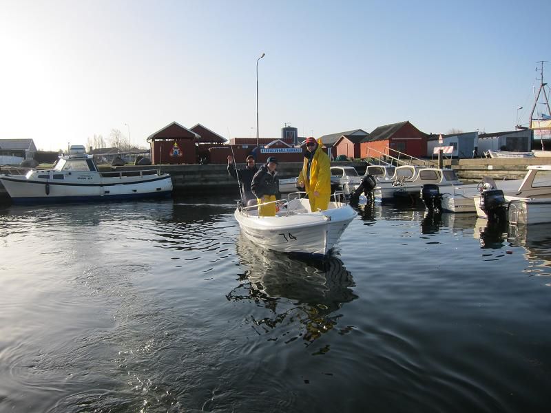 Danska 2011 - ribolov polenovk - foto povečava