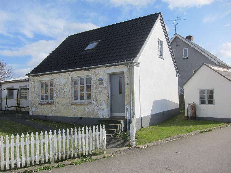 Danska 2011 - ribolov polenovk - foto povečava