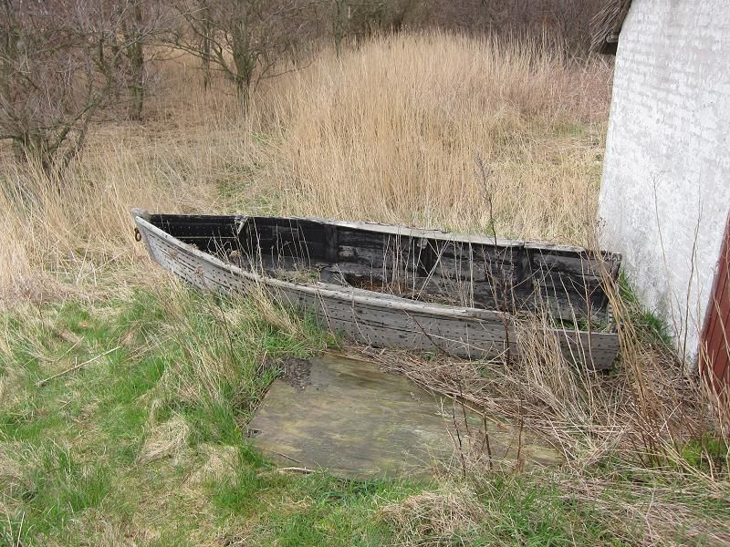 Danska 2011 - ribolov polenovk - foto povečava