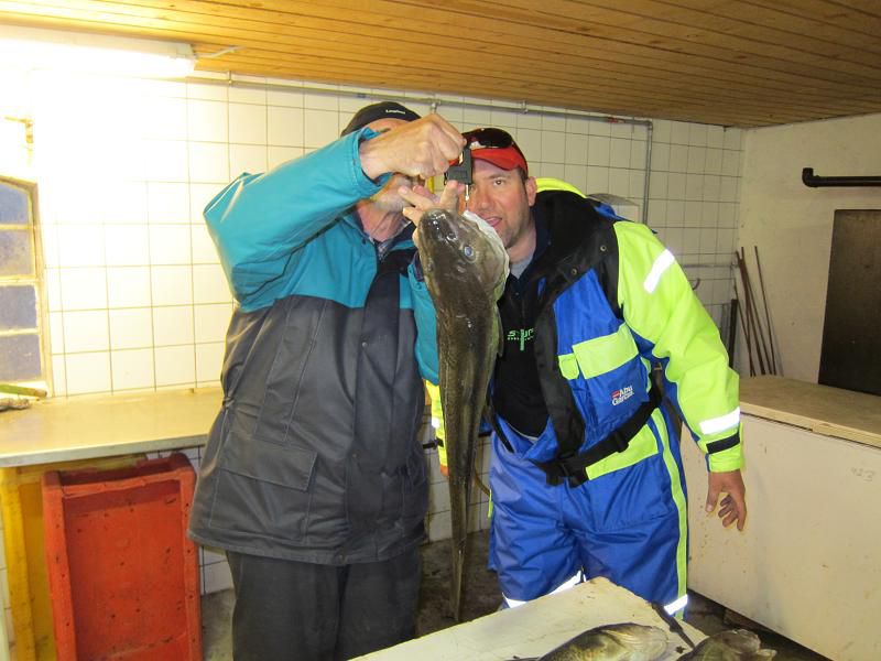 Danska 2011 - ribolov polenovk - foto povečava