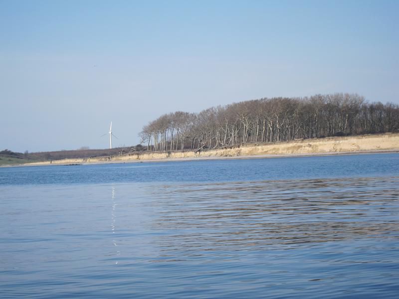 Danska 2011 - ribolov polenovk - foto povečava