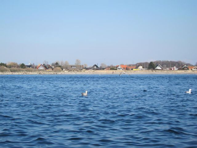 Danska 2011 - ribolov polenovk - foto